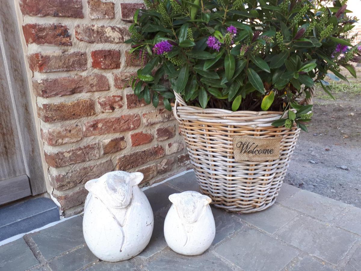 B&B 't Hoveke Wingene Buitenkant foto